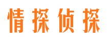 平阳侦探公司